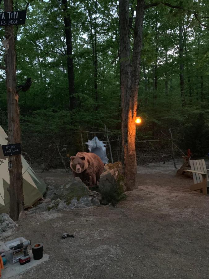 Bed and Breakfast Fox Pass Cabins Hot Springs Exterior foto