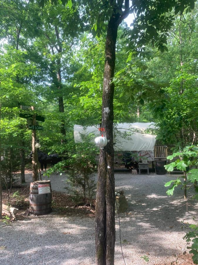 Bed and Breakfast Fox Pass Cabins Hot Springs Exterior foto