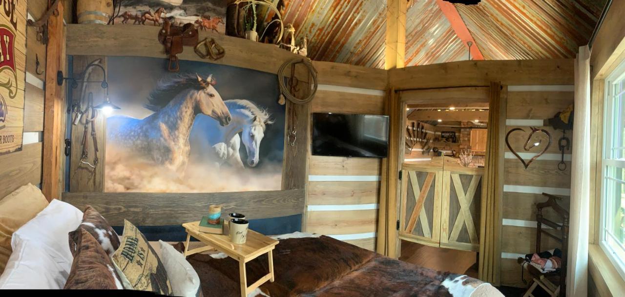 Bed and Breakfast Fox Pass Cabins Hot Springs Exterior foto